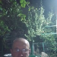 , 46 , 