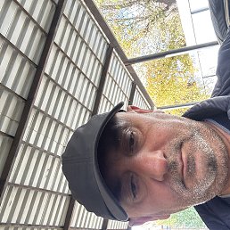 , 53, 