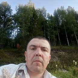  , 44, 