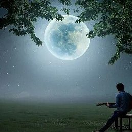 Farhod, �������, 28 ���