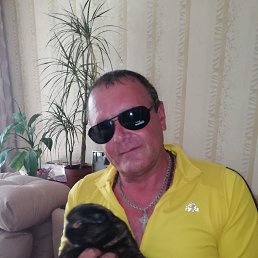 ���� ������, ������, 59 ��� - ��������� 16 ������ 2024