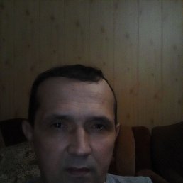 , 50 , 