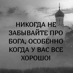 ��������, �����������, 41 ���