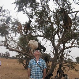 ���� �����, ������, 60 ��� - ��������� 5 ������ 2026