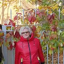 ���� ������, �������, 60 ��� - ��������� 1 ������� 2024 � ������ ���� ����������