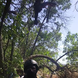 ���� �����, ������������, 40 ��� - ��������� 14 ���� 2024