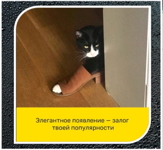   - 6  2025  18:45