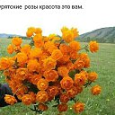 ���� ����, ���������, 25 ��� - ��������� 12 ���� 2025 � ������ ���� ����������