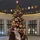 ���� ���������, ������-��-����, 25 ��� - ��������� 2 ������� 2026 � ������ ���� ����������