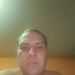 , 41, 