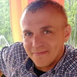 �������, �����, 36 ���