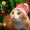 ���� ���������, ��������-������������, 43 ���� - ��������� 29 ������� 2023 � ������ ������ ��������