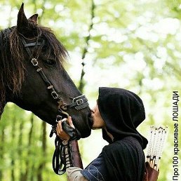 ����, ������� ��������, 40 ���