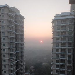 ���������, �����-���������, 42 ����