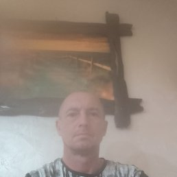  , 51, 