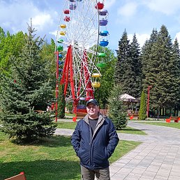 ������, 42 ����, ������