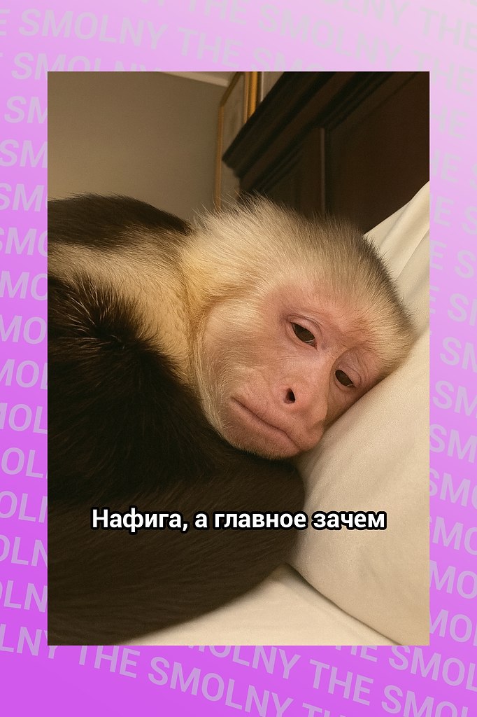   ,       ,        ,   ...