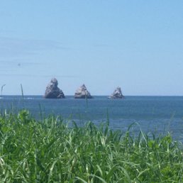 ���� ������� ��������, ����-���������, 47 ��� - ��������� 18 ������� 2025