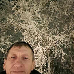 , 49, 