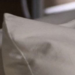 ������, �������, 23 ����