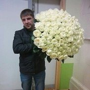 �����, 37 ���, �������