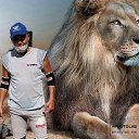 ���� �������, ������, 55 ��� - ��������� 6 ������� 2024