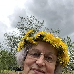 , 65,  