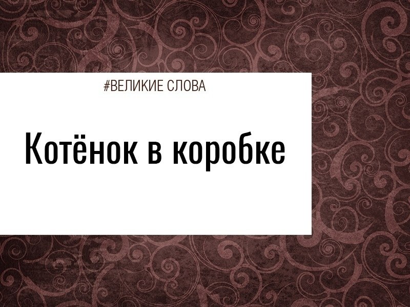 - Здравствуйте. Вы за компьютером? Почему-то решаю ответить: - Ага. - Замечательно. Знаете, я ...