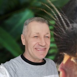 , 55 , 