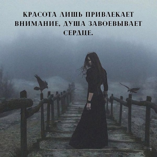 .. - 23  2023  15:06