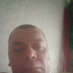 ����, �����-���������, 41 ���