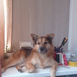 ��������, ���������, 57 ���