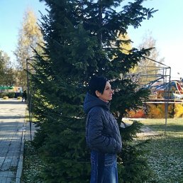 ����, �������, 51 ���