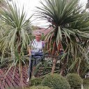 ���� �������, ��� - ��������� 17 ���� 2025