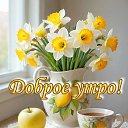 ���� �������@, �������� - ��������� 4 ������� 2026 � ������ ������ ��������