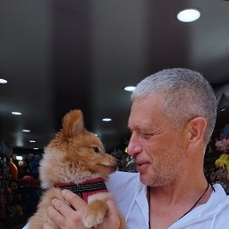 ���� ������, �������, 55 ��� - ��������� 11 ��� 2024