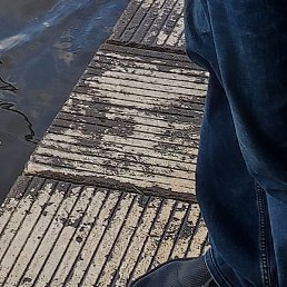 �����, ����, 60 ���