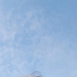 ������, 27 ���, �����