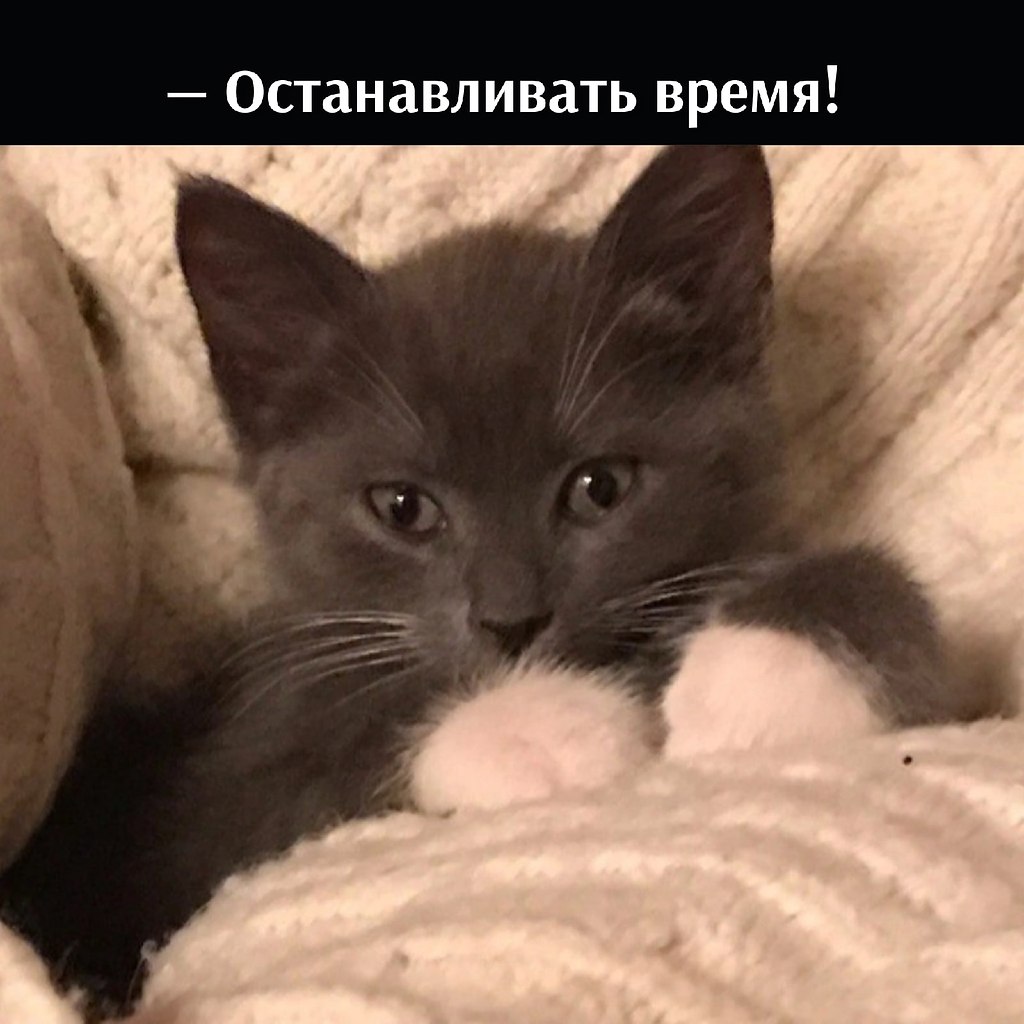       - 7  2025  11:38 - 2