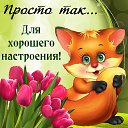 ���� ����, ������� - ��������� 17 ������� 2024 � ������ ������ ��������
