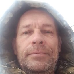 ����2141, �������, 61 ���