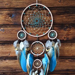 �����, �����������, 54 ����