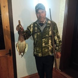 , 60, 