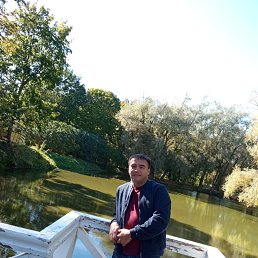 , 33, 