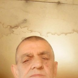 ���� ����, �������-���������, 66 ��� - ��������� 1 ������� 2025