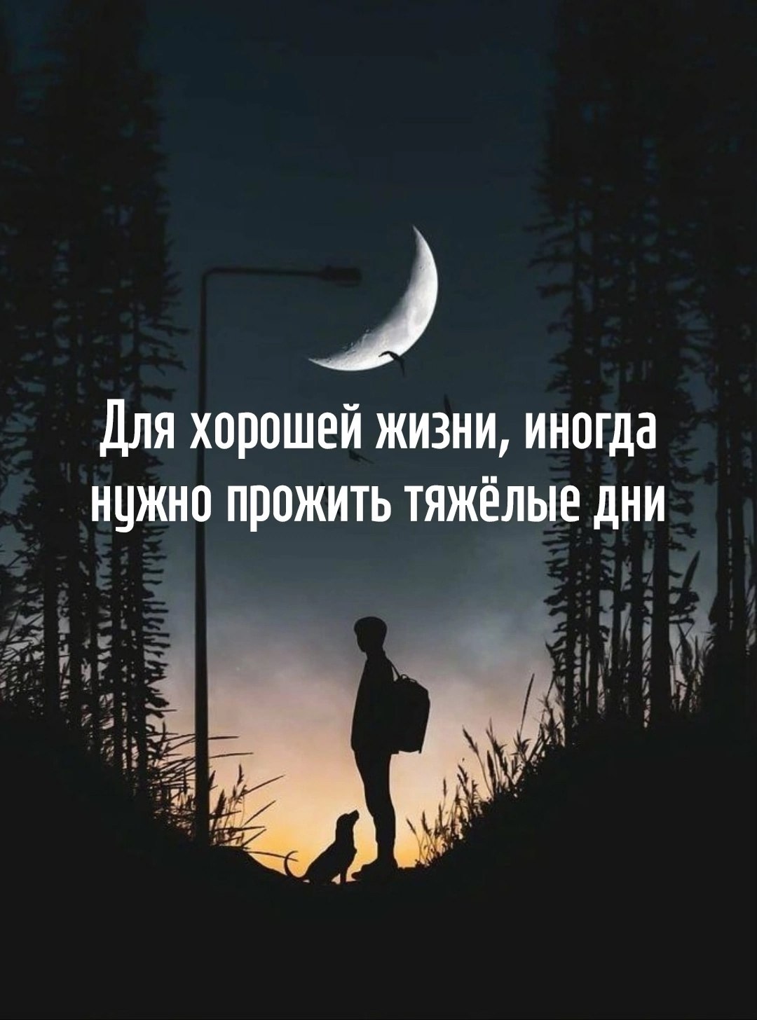  - 18  2025  18:39