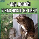 ���� �������, ������ - ��������� 11 ������� 2025 � ������ ������ ��������