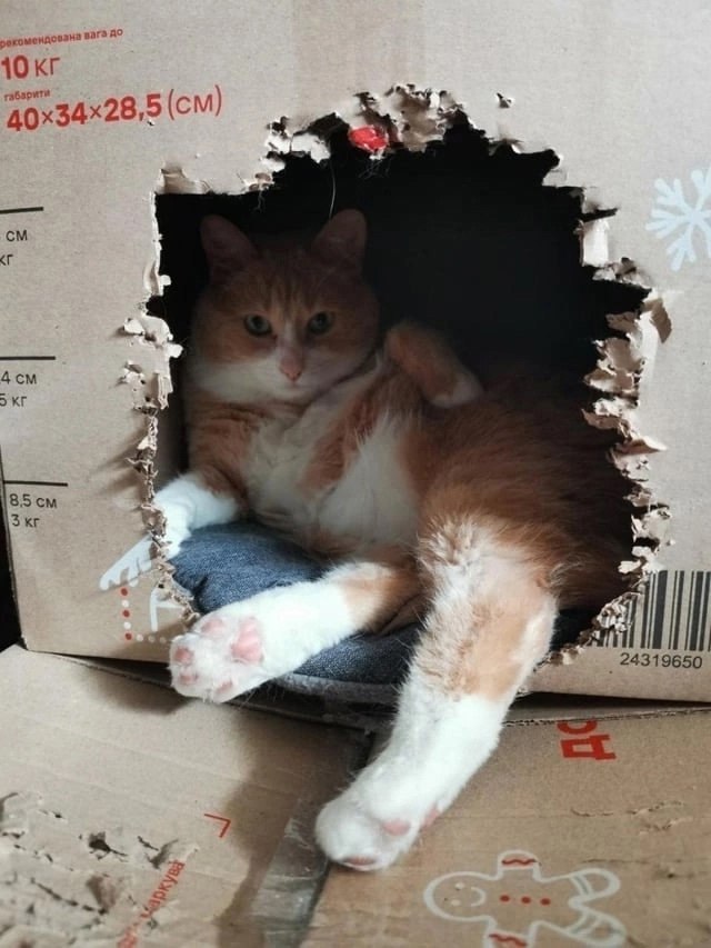    !