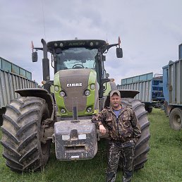 , 37, 