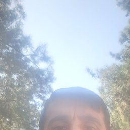 , 41, -